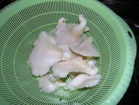 凤尾菇该怎么炒好吃呢？