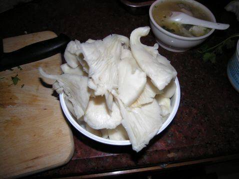 凤尾菇该怎么炒好吃呢？