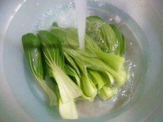 萝卜青菜该怎么炒呢？