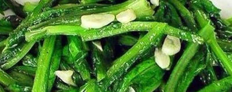 炒油麦菜该怎么做好吃呢？