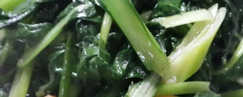 炒油菜该怎么做好吃呢？