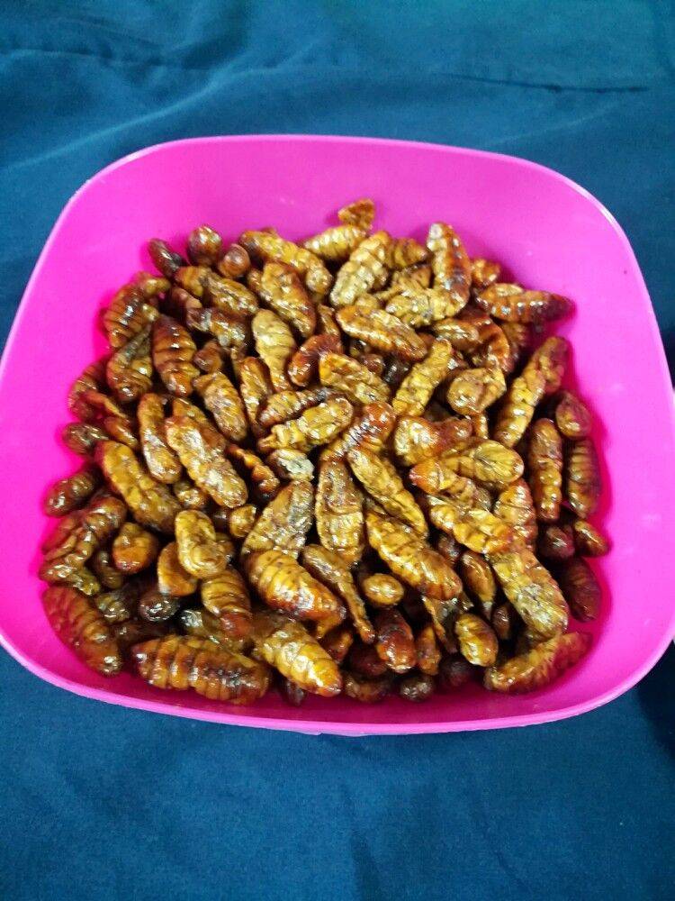蜂蛹该怎么炒好吃呢？