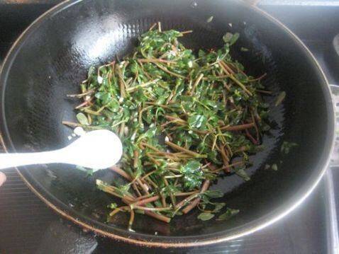 马齿笕该怎么炒好吃呢？