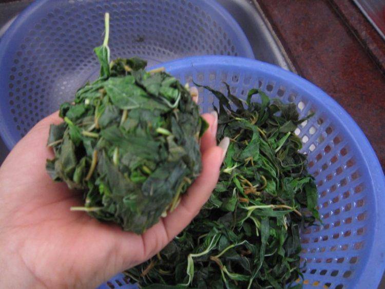 麻叶该怎么炒呢？