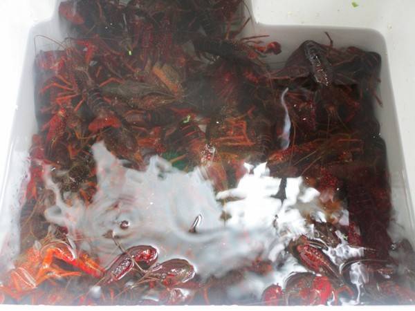 麻辣小龙虾该怎么炒呢？