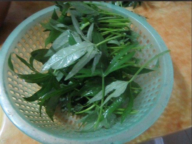 番薯叶该怎么炒呢？