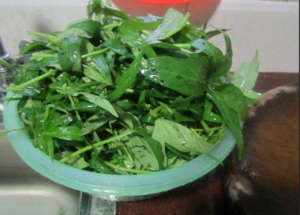番薯叶该怎么炒呢？
