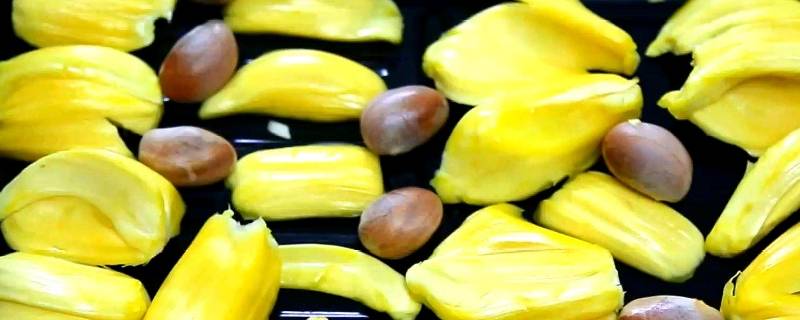 菠萝蜜的核能吃不能吃呢？