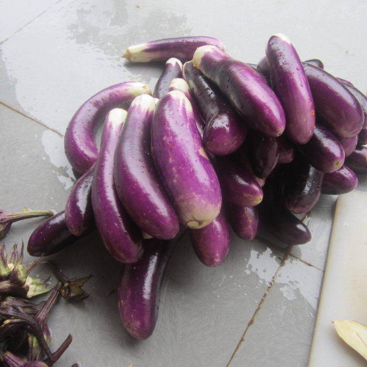 茄子的晒干方法呢？