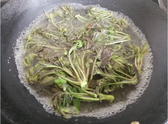 红香椿该怎么吃呢？