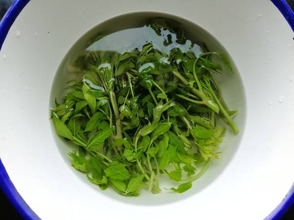 红香椿该怎么吃呢？