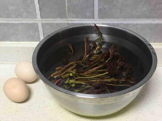 红香椿该怎么吃呢？