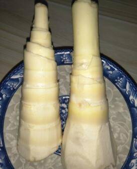 鲜笋炖汤的做法呢？