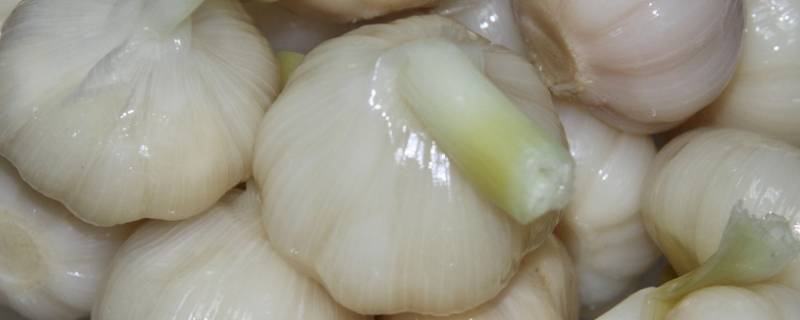 蒜头腌酸了如何补救呢？