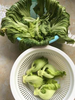 腌菜该怎么腌呢？