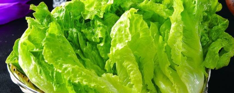 生菜球该怎么做好吃呢？