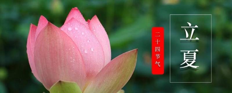 立夏饮食应该注意什么呢？