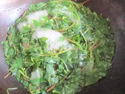 马生菜蒸包子的做法呢？