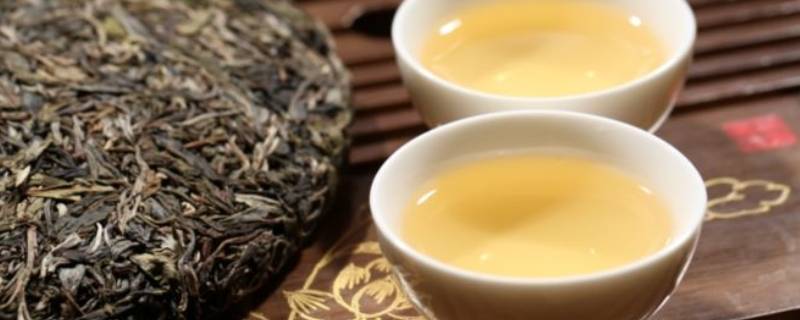 普洱生茶该怎么泡更好喝呢？