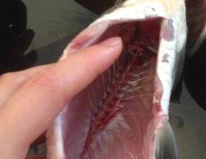 桂鱼汤该怎么做好吃喝呢？