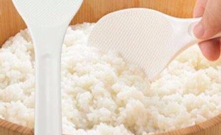 做寿司需要什么材料及食材呢？