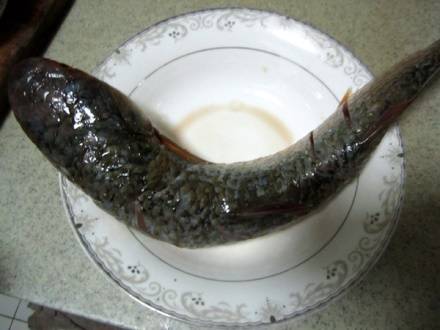 梭鱼该怎么做好吃呢？