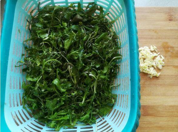荠菜该怎么做好吃呢？