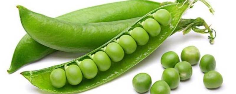 豌豆冷冻可以保存多久呢？