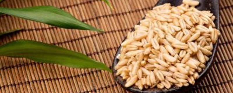 粗食杂粮有哪些呢？
