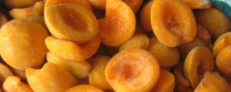 杏子可以冷冻保存吗呢？