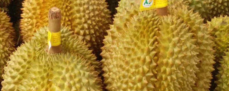 榴莲不能和什么一起吃需要隔多久呢？