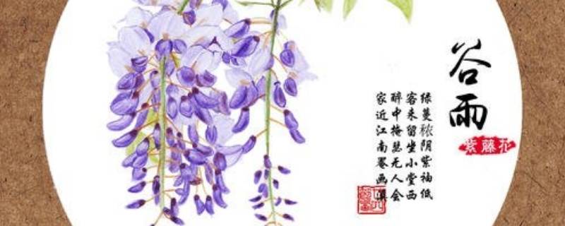谷雨是什么季节呢？
