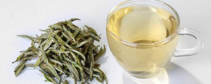 白茶有哪些呢？