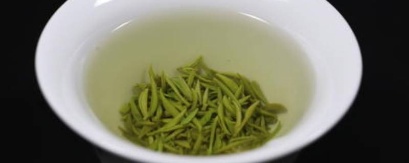 毛尖的泡法呢？