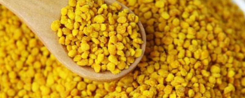 蜂花粉的作用呢？