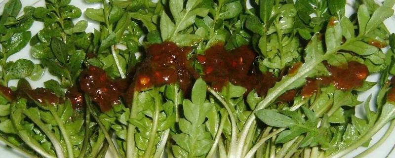 什么人不能吃荠菜呢？