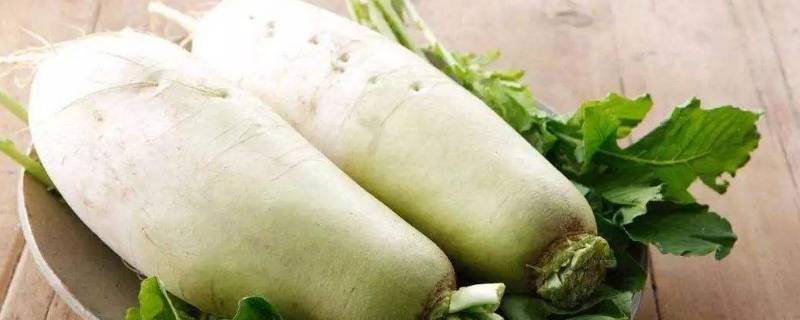 白萝卜该怎么腌制好吃呢？