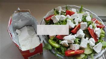 白奶酪蔬菜沙拉怎么做，白奶酪蔬菜沙拉怎么做好吃，白奶酪蔬菜沙拉做法