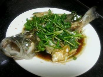 清蒸鲈鱼怎么做，清蒸鲈鱼怎么做好吃，清蒸鲈鱼做法
