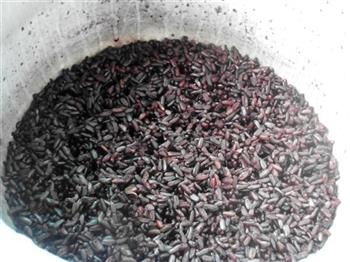 黑糯米芒果糖水怎么做，黑糯米芒果糖水怎么做好吃，黑糯米芒果糖水做法