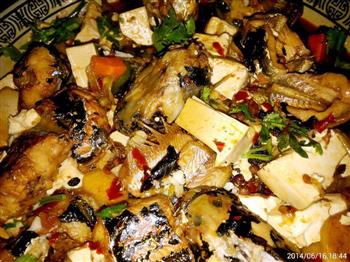 野生鲶鱼炖豆腐怎么做，野生鲶鱼炖豆腐怎么做好吃，野生鲶鱼炖豆腐做法