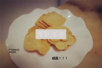 椰子脆片怎么做，椰子脆片怎么做好吃，椰子脆片做法