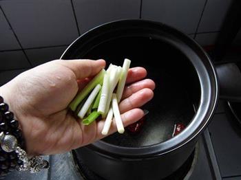 红枣鲫鱼木瓜汤怎么做，红枣鲫鱼木瓜汤怎么做好吃，红枣鲫鱼木瓜汤做法
