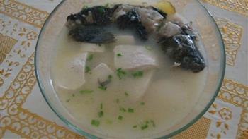 营养鲫鱼豆腐汤怎么做，营养鲫鱼豆腐汤怎么做好吃，营养鲫鱼豆腐汤做法