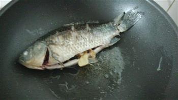 营养鲫鱼豆腐汤怎么做，营养鲫鱼豆腐汤怎么做好吃，营养鲫鱼豆腐汤做法