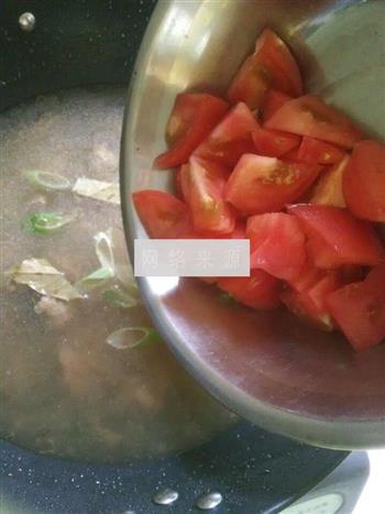 西红柿牛腩汤怎么做，西红柿牛腩汤怎么做好吃，西红柿牛腩汤做法
