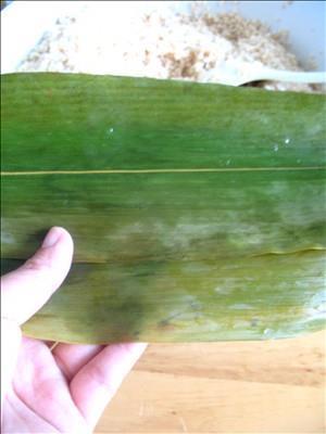 咸蛋黄五花肉粽怎么做，咸蛋黄五花肉粽怎么做好吃，咸蛋黄五花肉粽做法