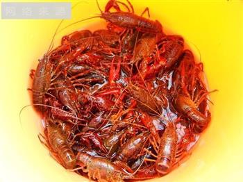 正宗湖南口味虾怎么做,正宗湖南口味虾怎么做好吃,正宗湖南口味虾做法 正宗湖南口味虾怎么做,正宗湖南口味虾怎么做好吃,正宗湖南口味虾做法