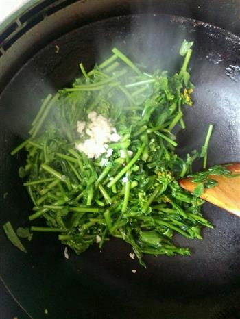 把春天吃进肚子里-炝炒油菜苔怎么做，把春天吃进肚子里-炝炒油菜苔怎么做好吃，把春天吃进肚子里-炝炒油菜苔做法