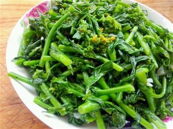 把春天吃进肚子里-炝炒油菜苔怎么做，把春天吃进肚子里-炝炒油菜苔怎么做好吃，把春天吃进肚子里-炝炒油菜苔做法
